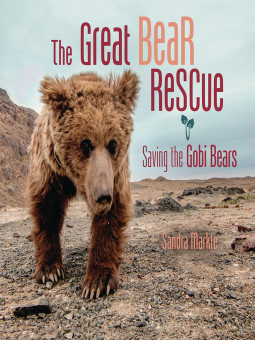 Title details for The Great Bear Rescue by Sandra Markle - Available